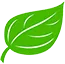 Green Leaf