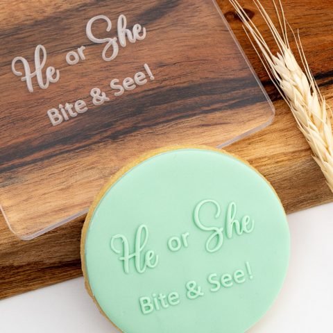 He or She Bite and See Fondant Debosser Cookie Stamp